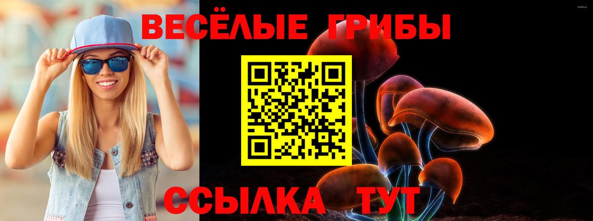 Галлюциногенные грибы Psilocybe Красный Сулин